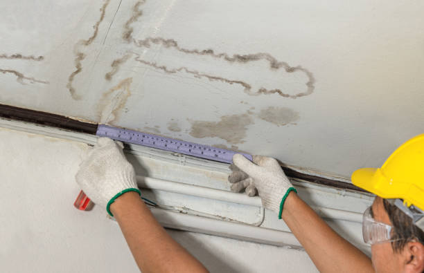 Reliable Water Damage contractor in Big Sandy, TX by Water Damage Irwin